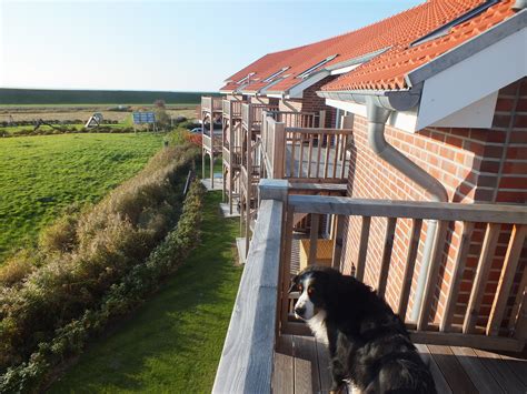 Ferienwohnung Nordsee mit Hund günstig